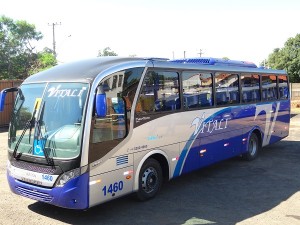 Iveco Bus Viacao Vitali