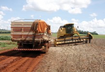 Produção recorde não garante valor do frete