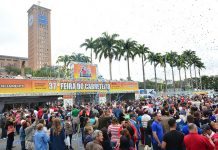 Atualização, conhecimento e diversão