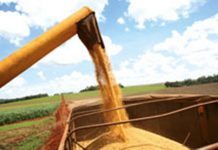 Fluxo de caminhões na BR-163 aumenta 17% com escoamento da safra