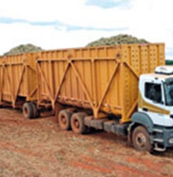 Carreteiras nos canaviais