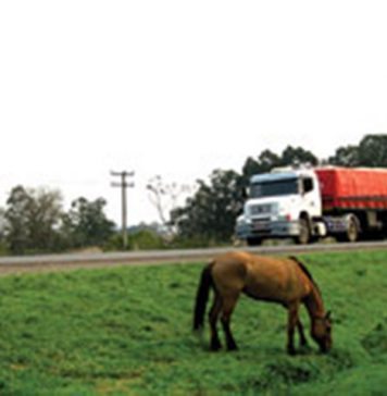 Um perigo a mais na estrada