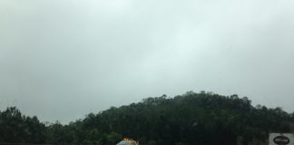 segurança nas estradas
