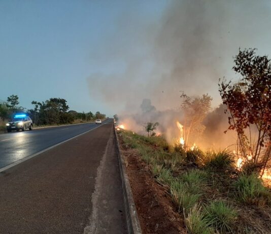 Veja o que fazer em caso de queimada na rodovia