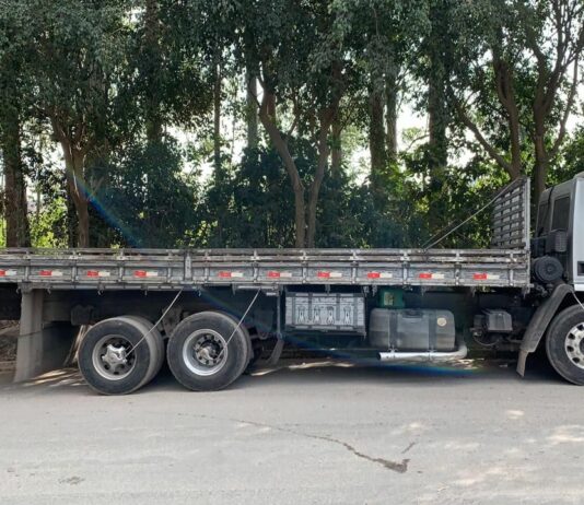 Oportunidade para caminhões trucados e carga seca