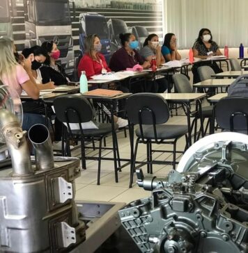 participação feminina no setor de transporte de cargas