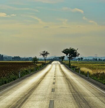 novos caminhoneiros
